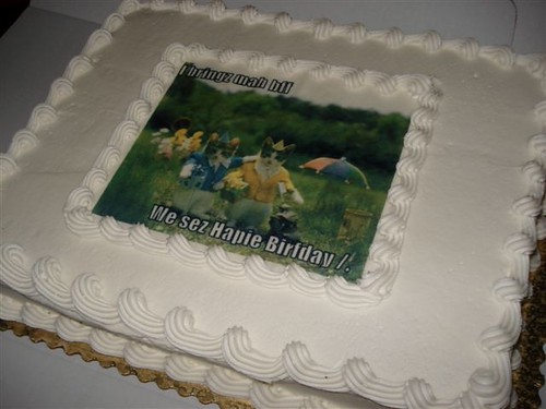 lolcat cake